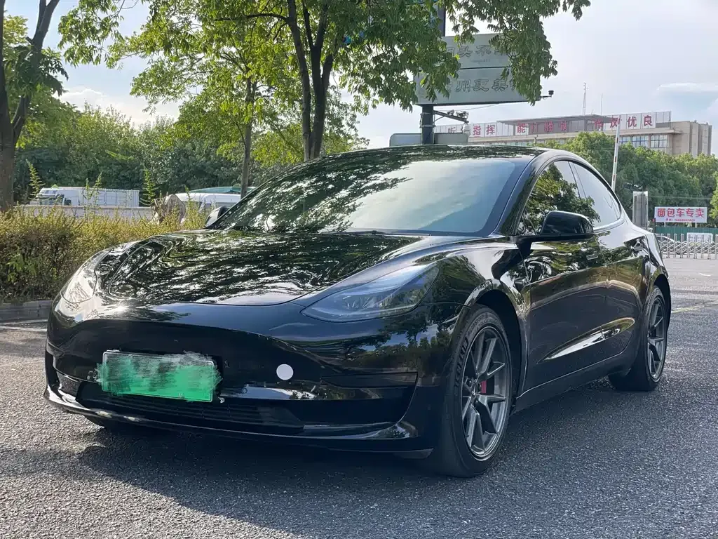 Tesla Model 3 2021 из CN, фото 2