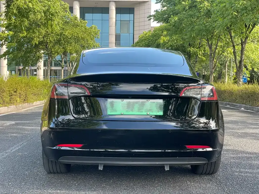 Tesla Model 3 2021 из CN, фото 5