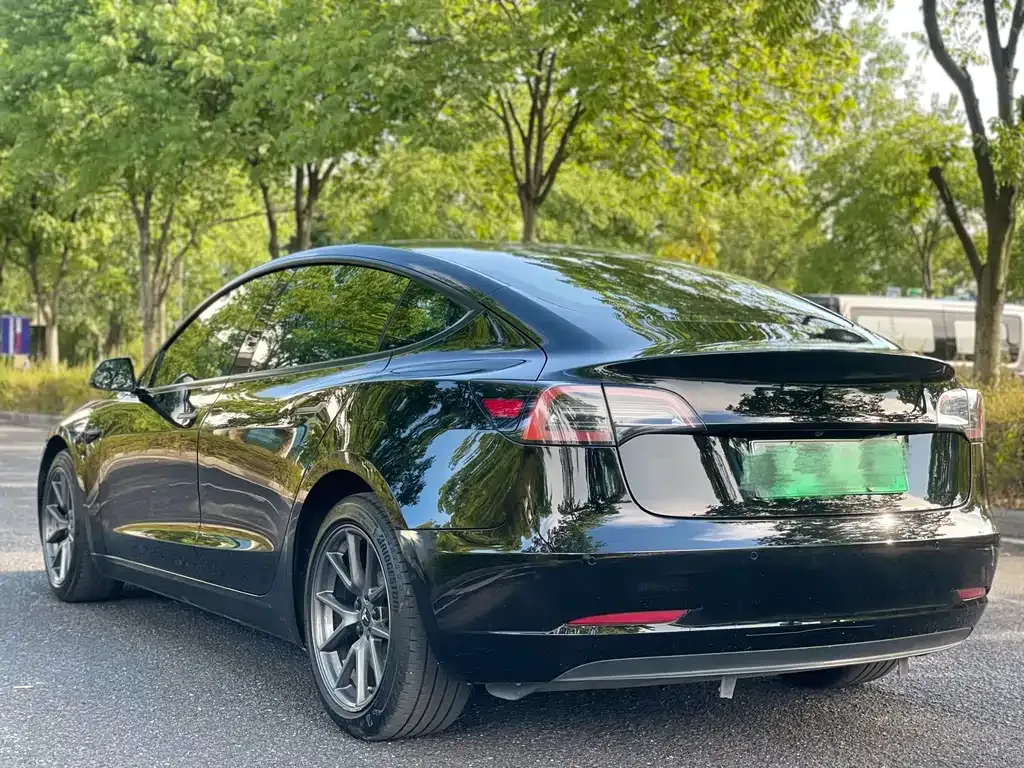 Tesla Model 3 2021 из CN, фото 6