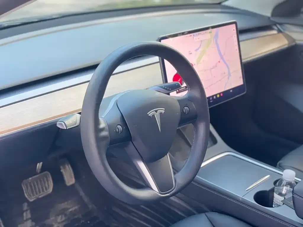 Tesla Model 3 2021 из CN, фото 7