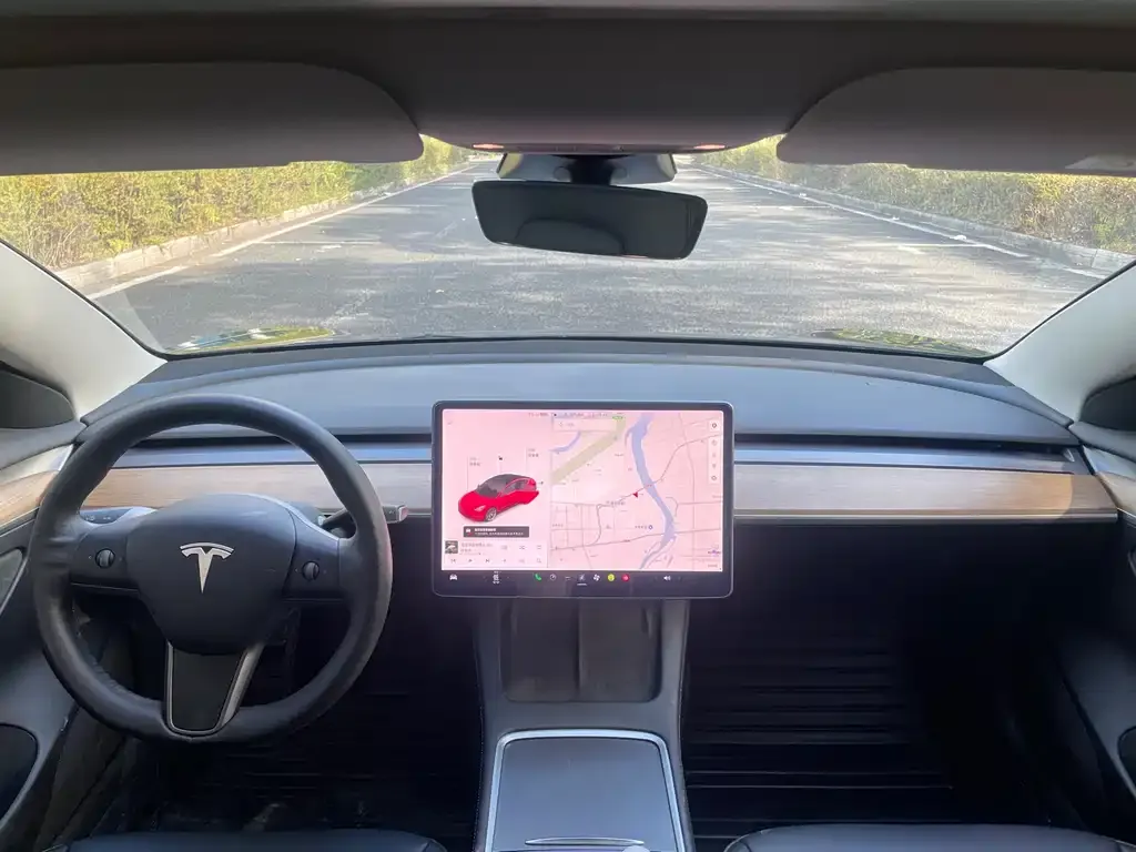 Tesla Model 3 2021 из CN, фото 8