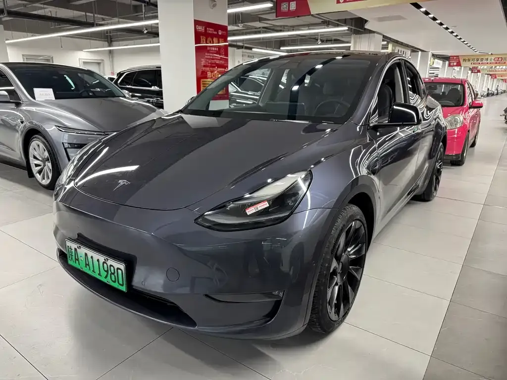 Tesla Model Y 2021 из CN, фото 1