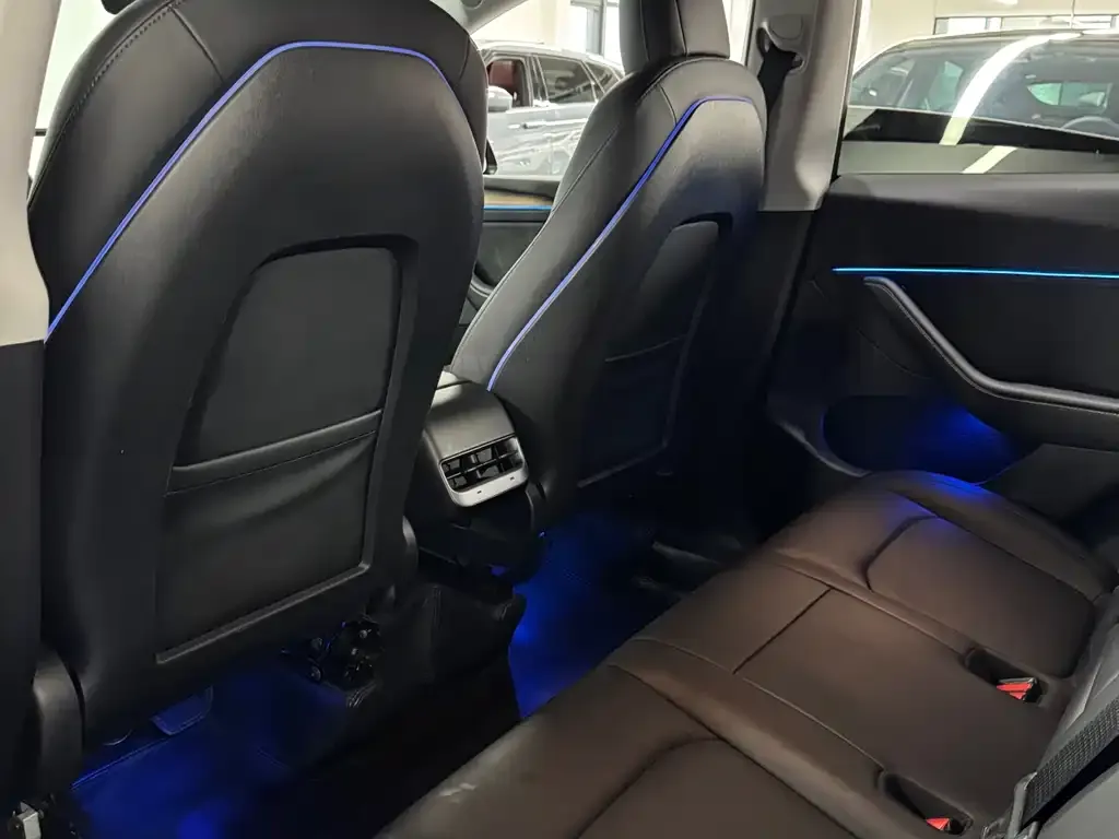 Tesla Model Y 2021 из CN, фото 10