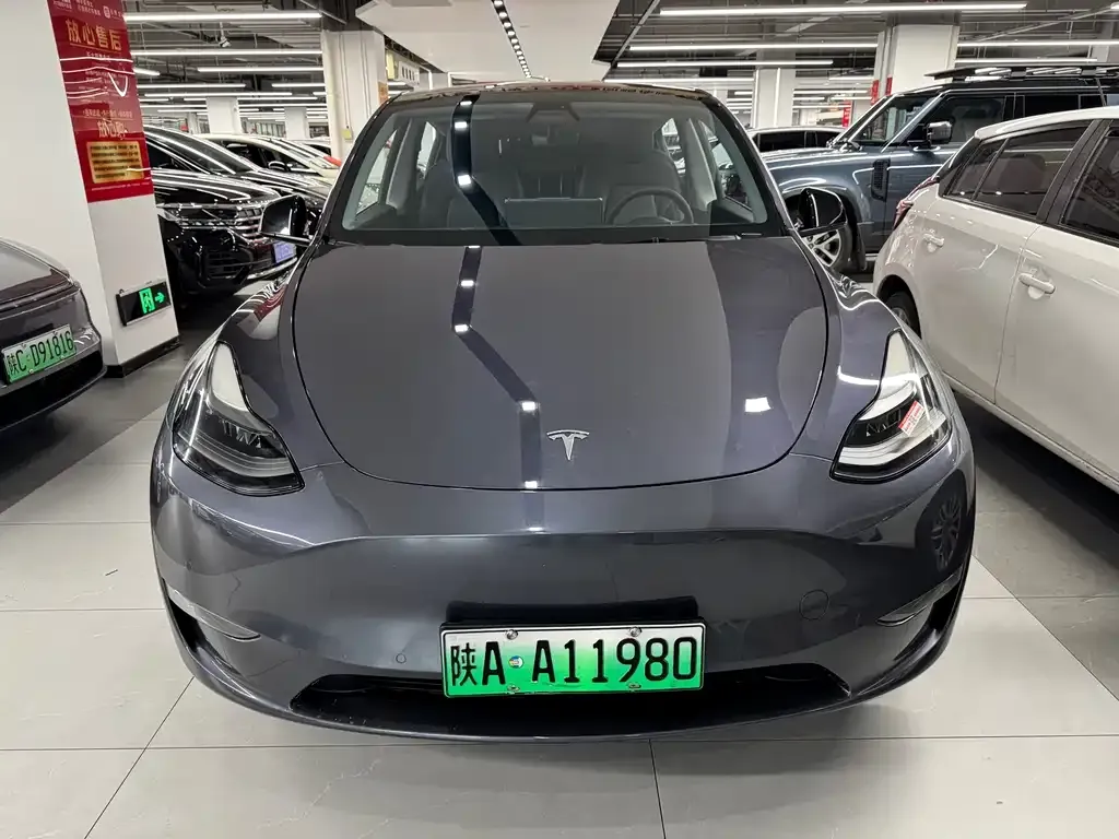 Tesla Model Y 2021 из CN, фото 2