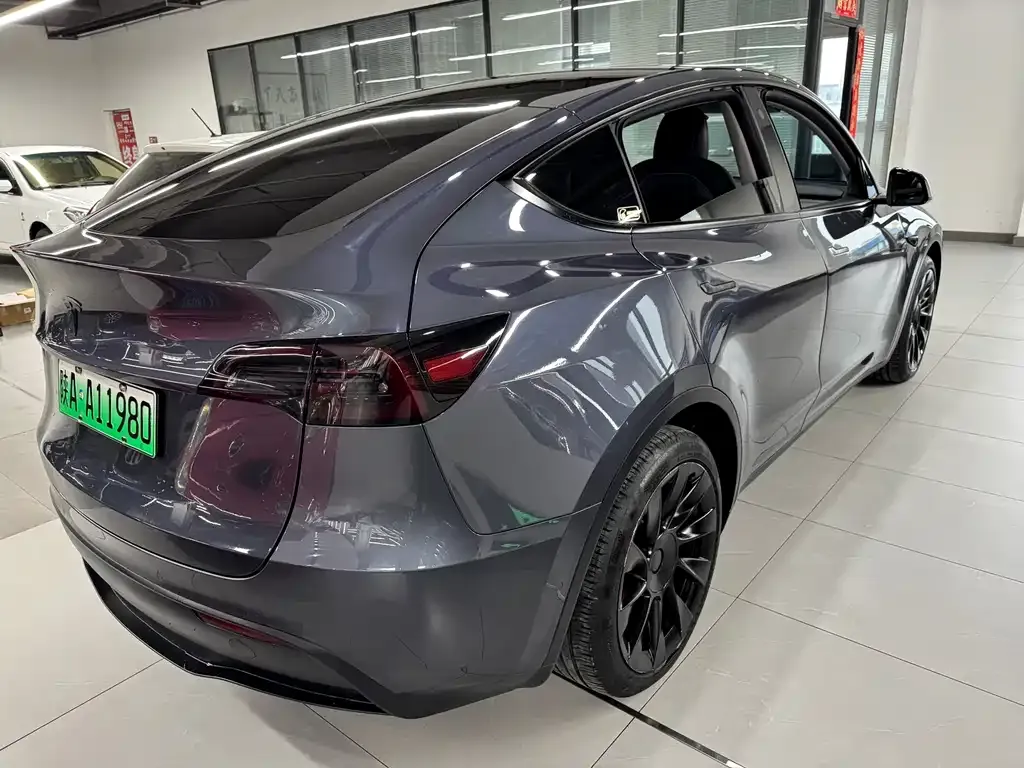 Tesla Model Y 2021 из CN, фото 4