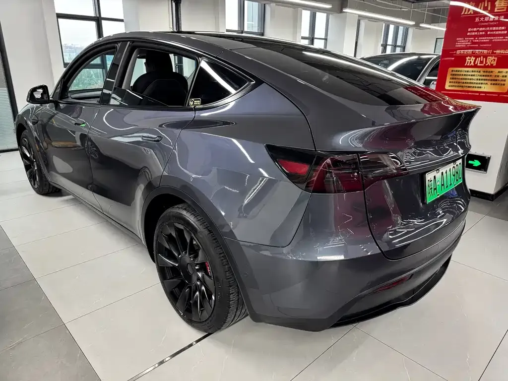 Tesla Model Y 2021 из CN, фото 6