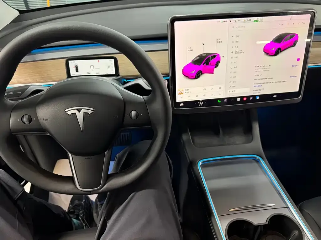 Tesla Model Y 2021 из CN, фото 9