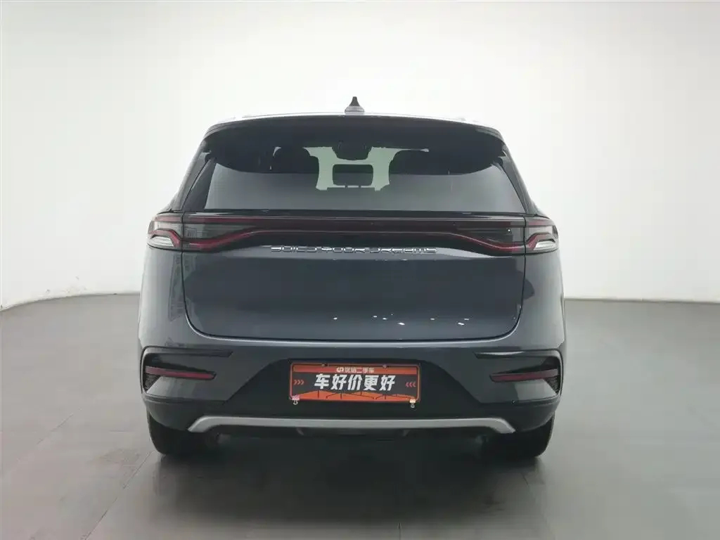 BYD Tang New Energy 2021 из CN, фото 4