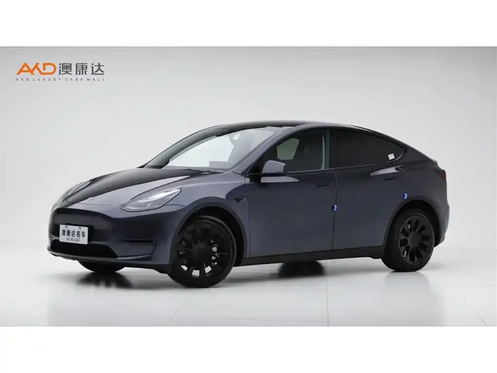 Tesla Model Y 2023 из CN, фото 1