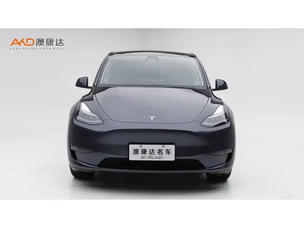 Tesla Model Y 2023 из CN, фото 2