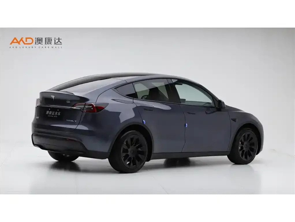 Tesla Model Y 2023 из CN, фото 3