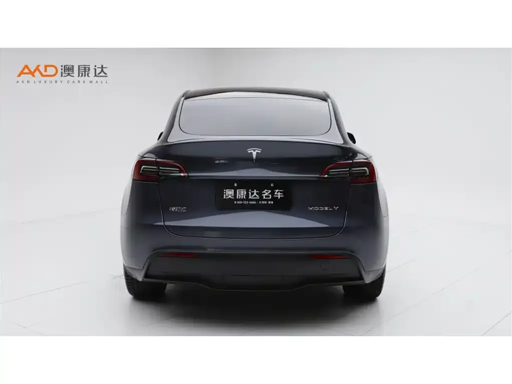 Tesla Model Y 2023 из CN, фото 4