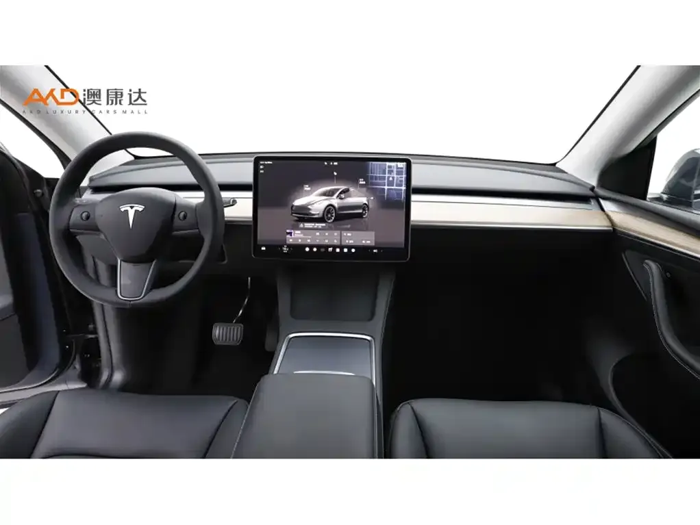Tesla Model Y 2023 из CN, фото 5