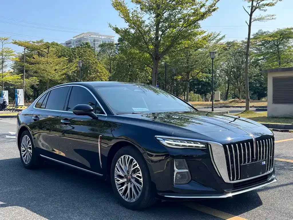 Hongqi H5 2023 из CN, фото 3