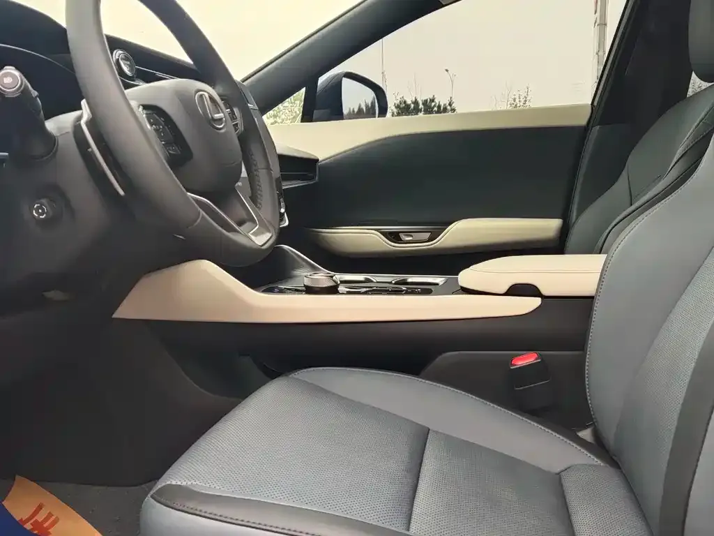 Lexus RZ 2023 из CN, фото 10