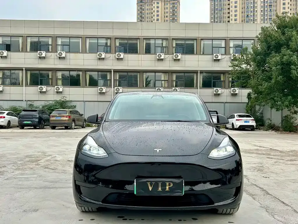 Tesla Model Y 2023 из CN, фото 2