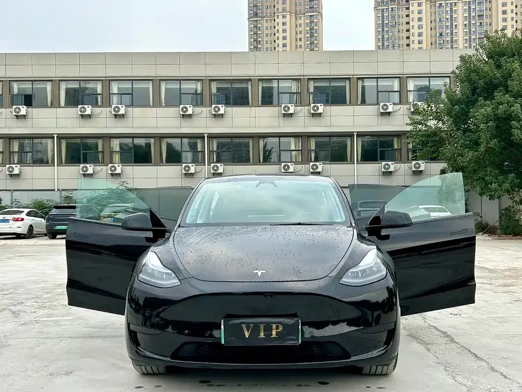 Tesla Model Y 2023 из CN, фото 3