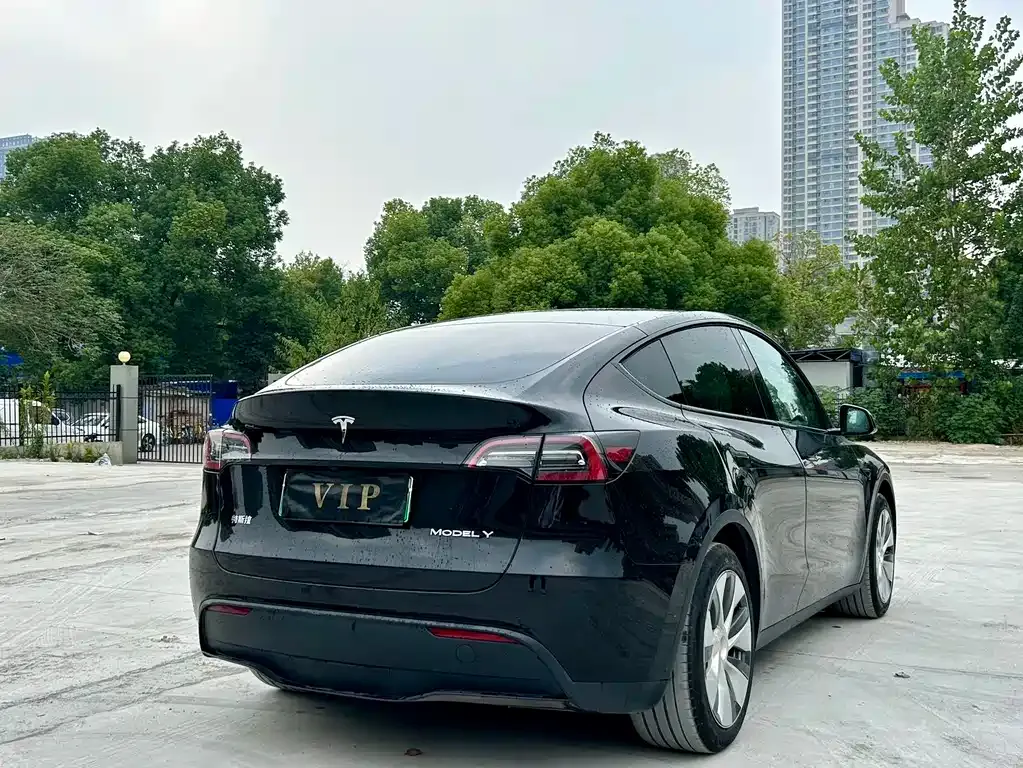 Tesla Model Y 2023 из CN, фото 7