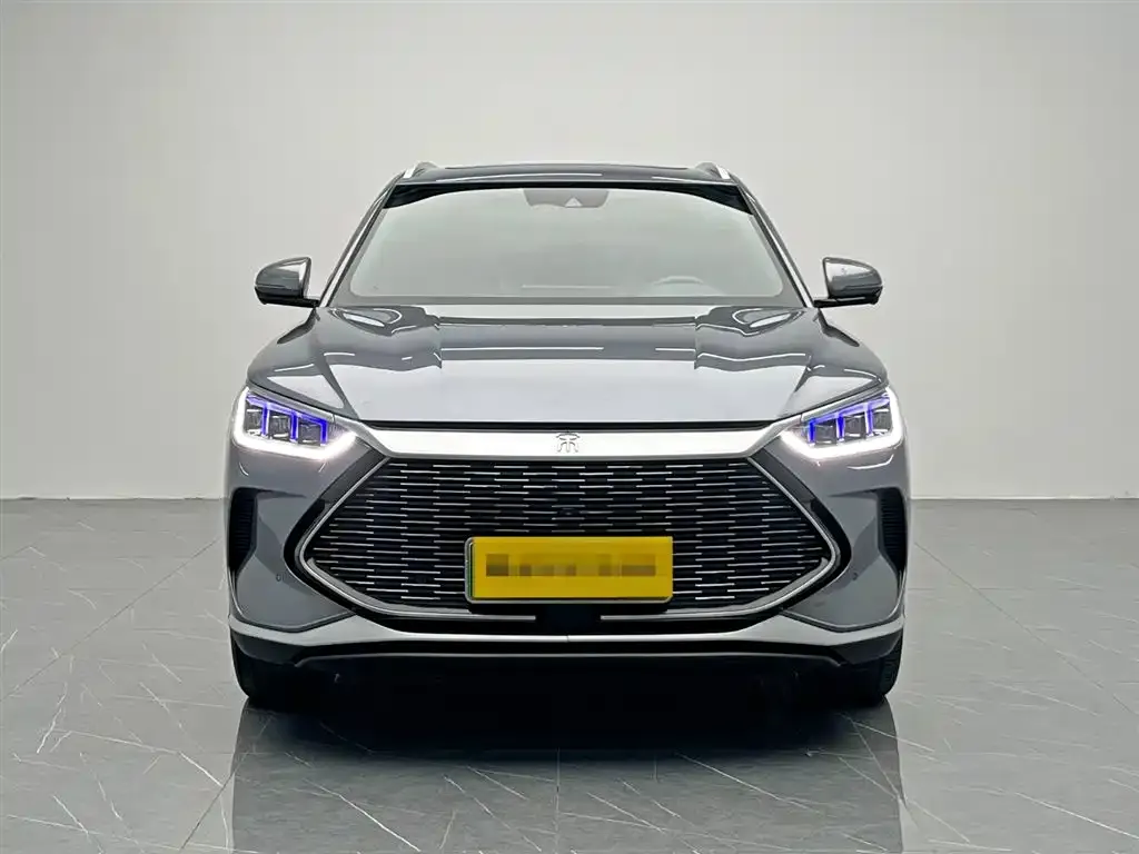 BYD PLUS New Energy 2022 из CN, фото 2