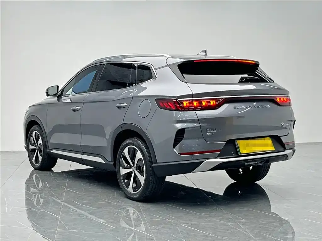 BYD PLUS New Energy 2022 из CN, фото 4