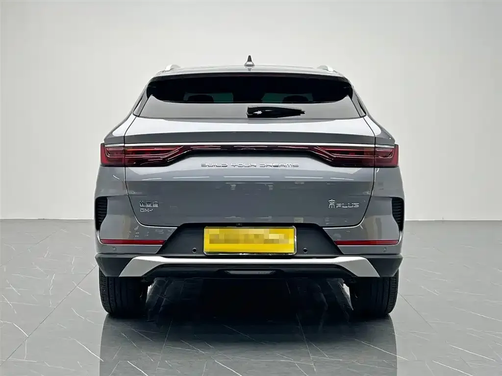 BYD PLUS New Energy 2022 из CN, фото 5