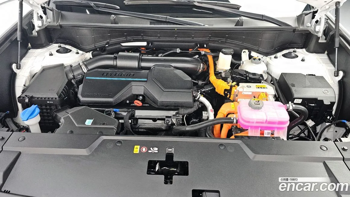 [object Object] Santafe 2024 из KR, фото 6