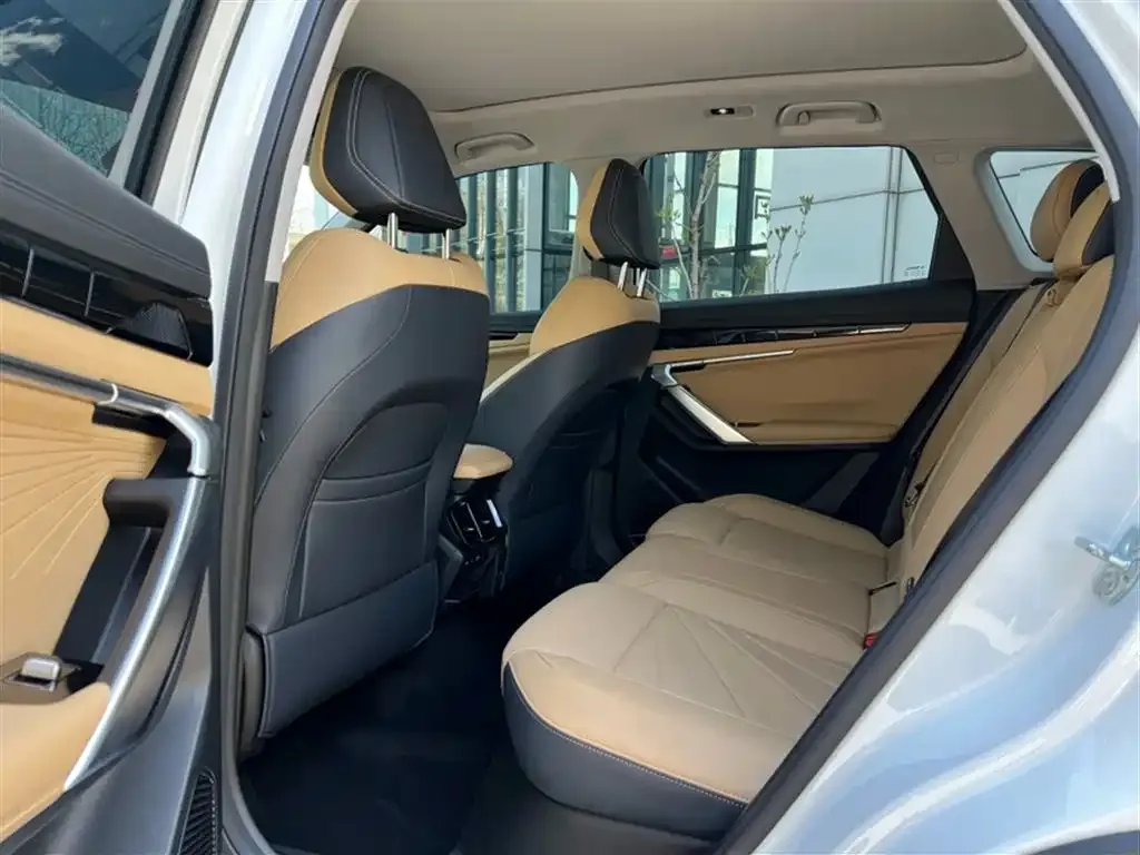 [object Object] Boyue L 2024 из CN, фото 10