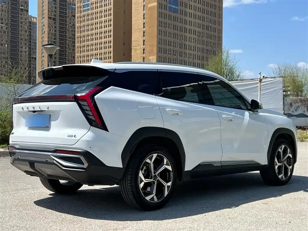 [object Object] Boyue L 2024 из CN, фото 5