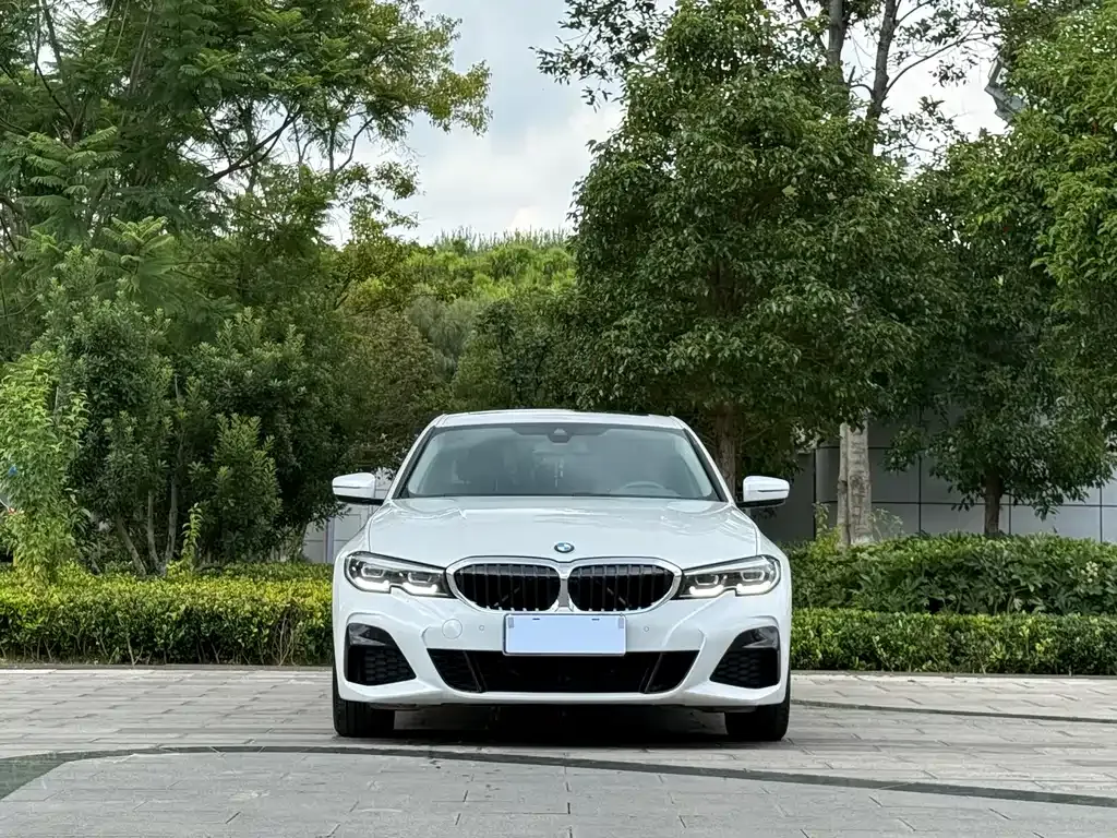 BMW 3 Series 2021 из CN, фото 2