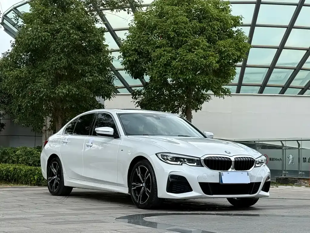 BMW 3 Series 2021 из CN, фото 3