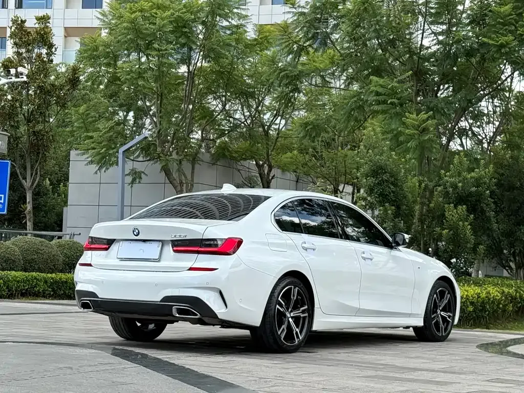BMW 3 Series 2021 из CN, фото 7
