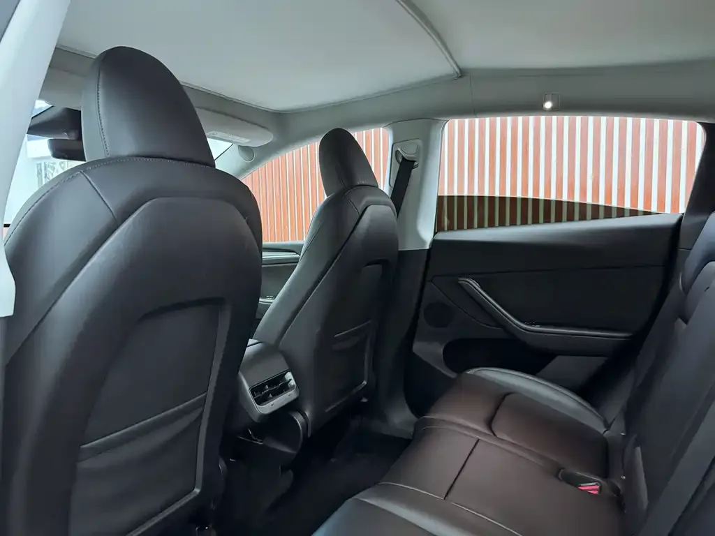 Tesla Model Y 2023 из CN, фото 9