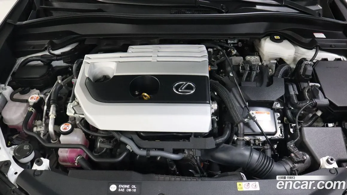 Lexus UX 2023 из KR, фото 6