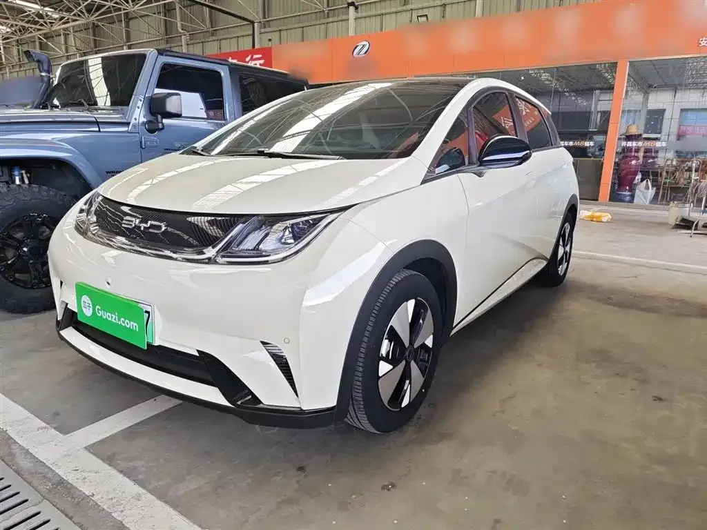 BYD Dolphin 2024 из CN, фото 1