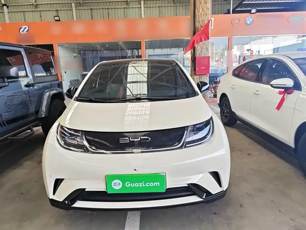 BYD Dolphin 2024 из CN, фото 3