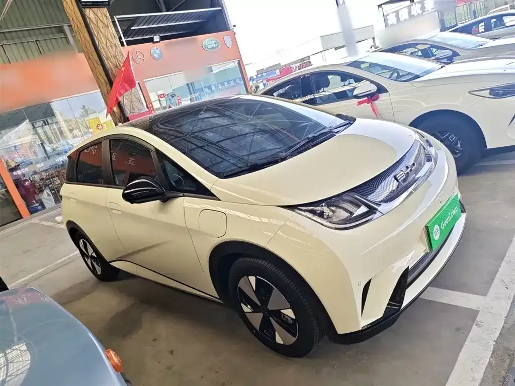 BYD Dolphin 2024 из CN, фото 4
