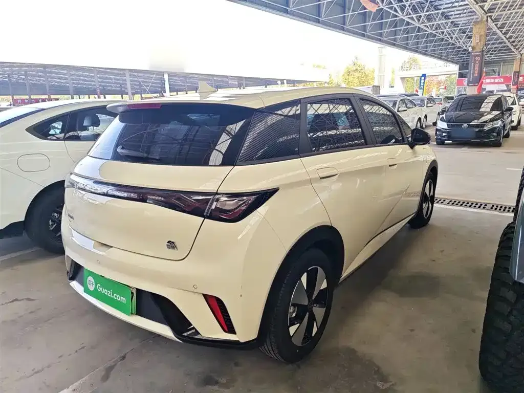 BYD Dolphin 2024 из CN, фото 5