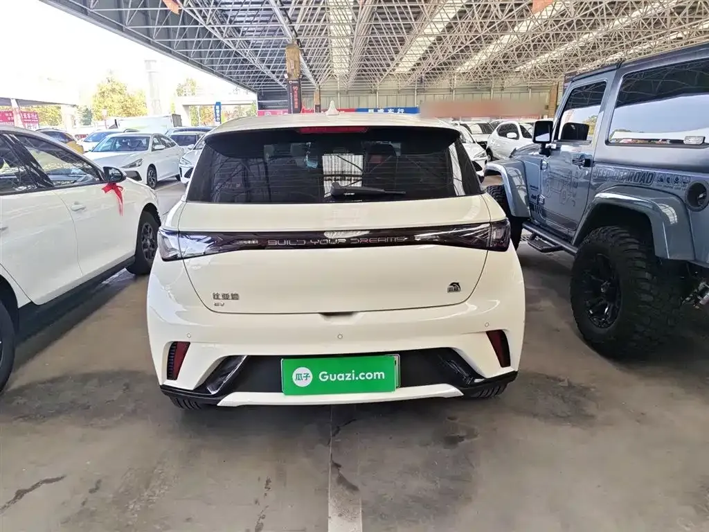 BYD Dolphin 2024 из CN, фото 6