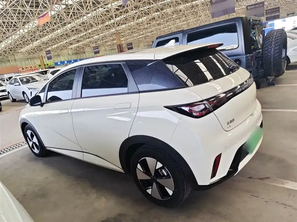 BYD Dolphin 2024 из CN, фото 7