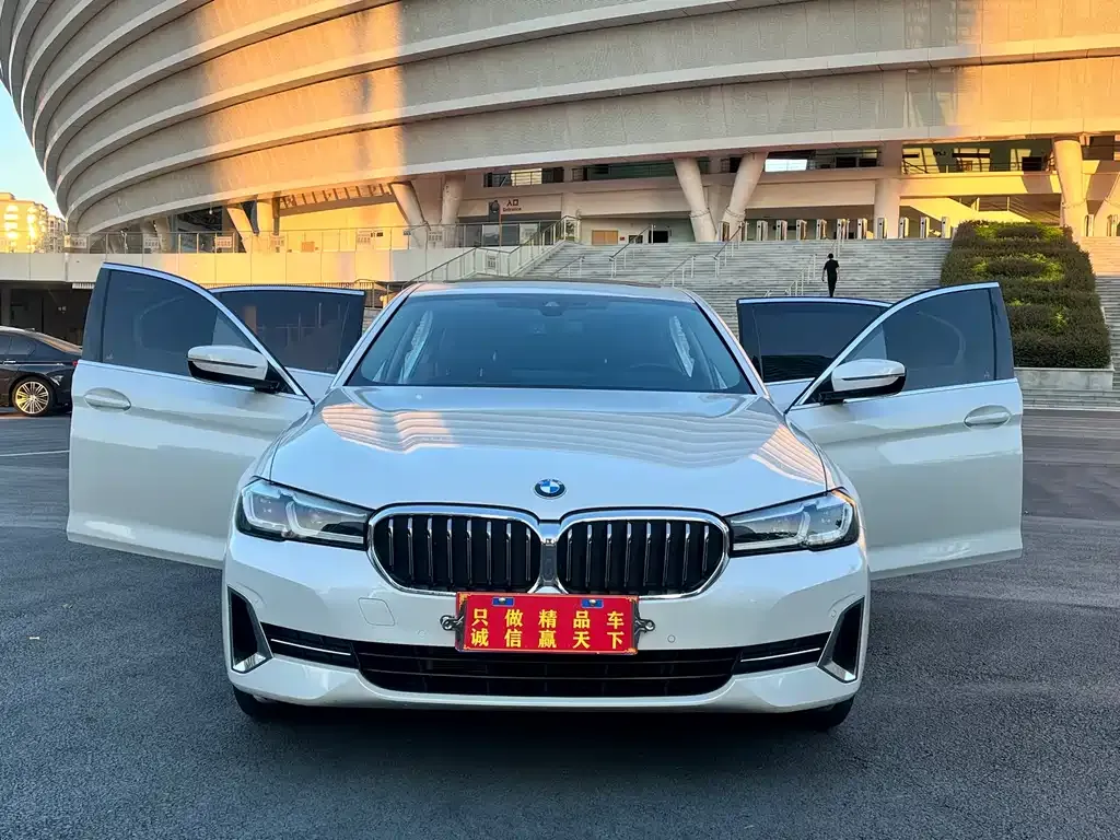 BMW 5 Series 2022 из CN, фото 10