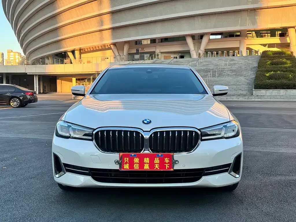 BMW 5 Series 2022 из CN, фото 2