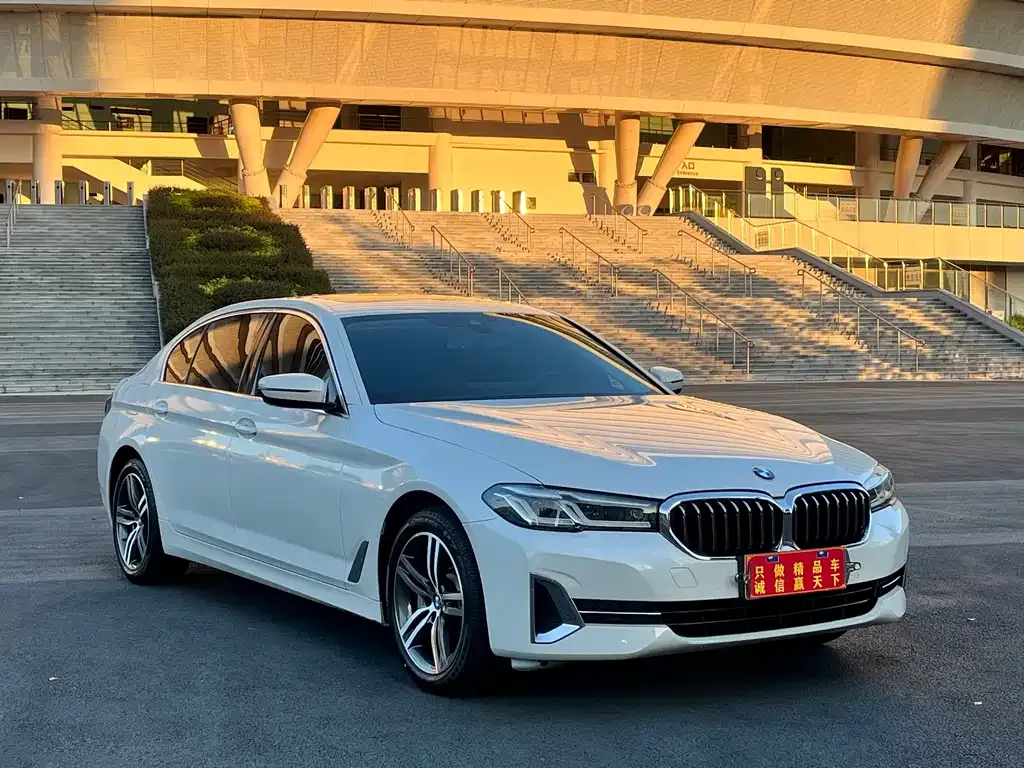 BMW 5 Series 2022 из CN, фото 3