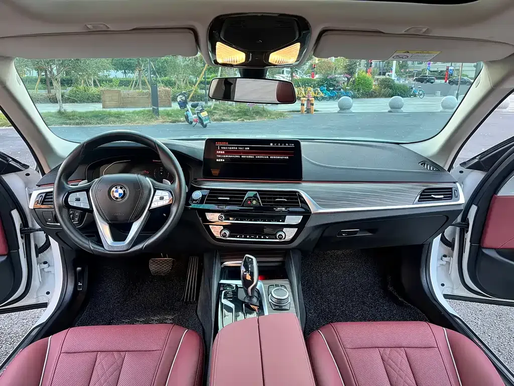 BMW 5 Series 2022 из CN, фото 6