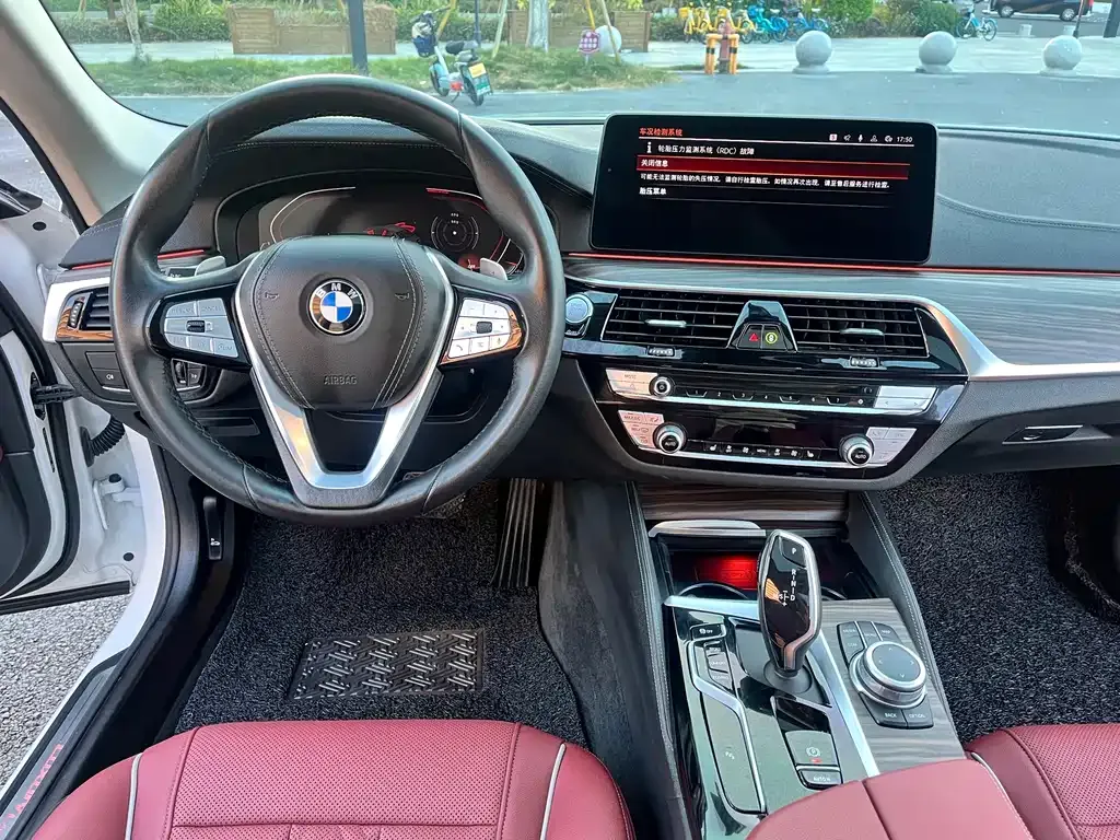 BMW 5 Series 2022 из CN, фото 8