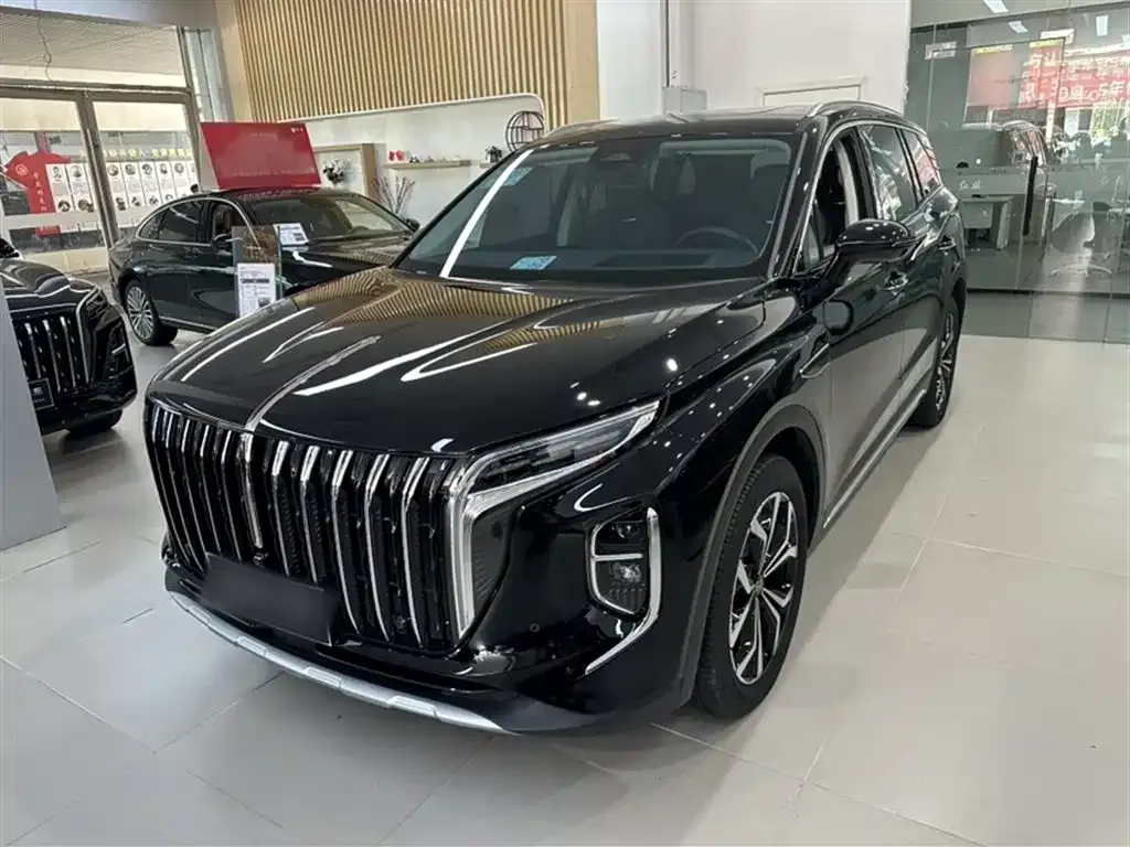 Hongqi HS7 2024 из CN, фото 1