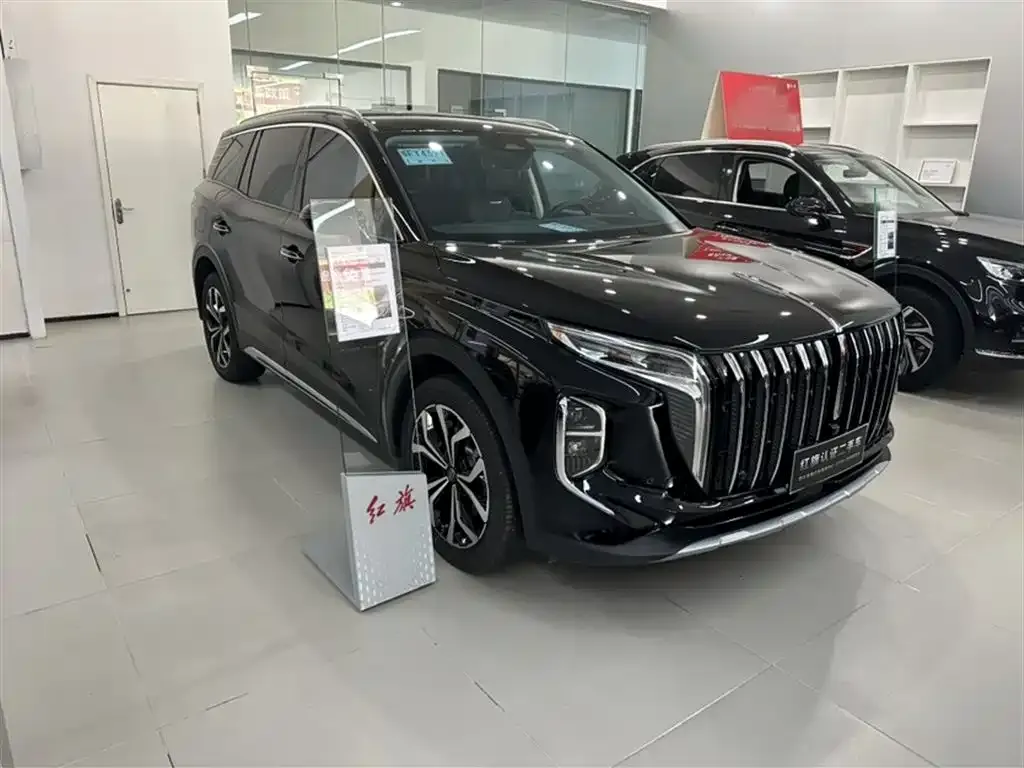 Hongqi HS7 2024 из CN, фото 10