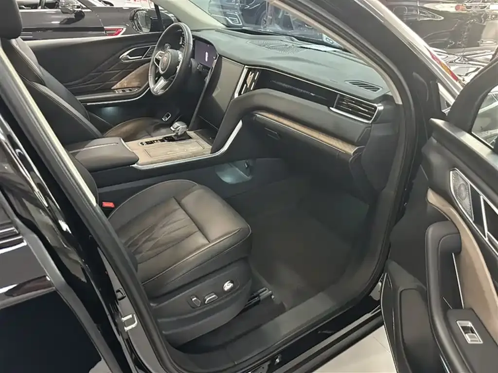 Hongqi HS7 2024 из CN, фото 6