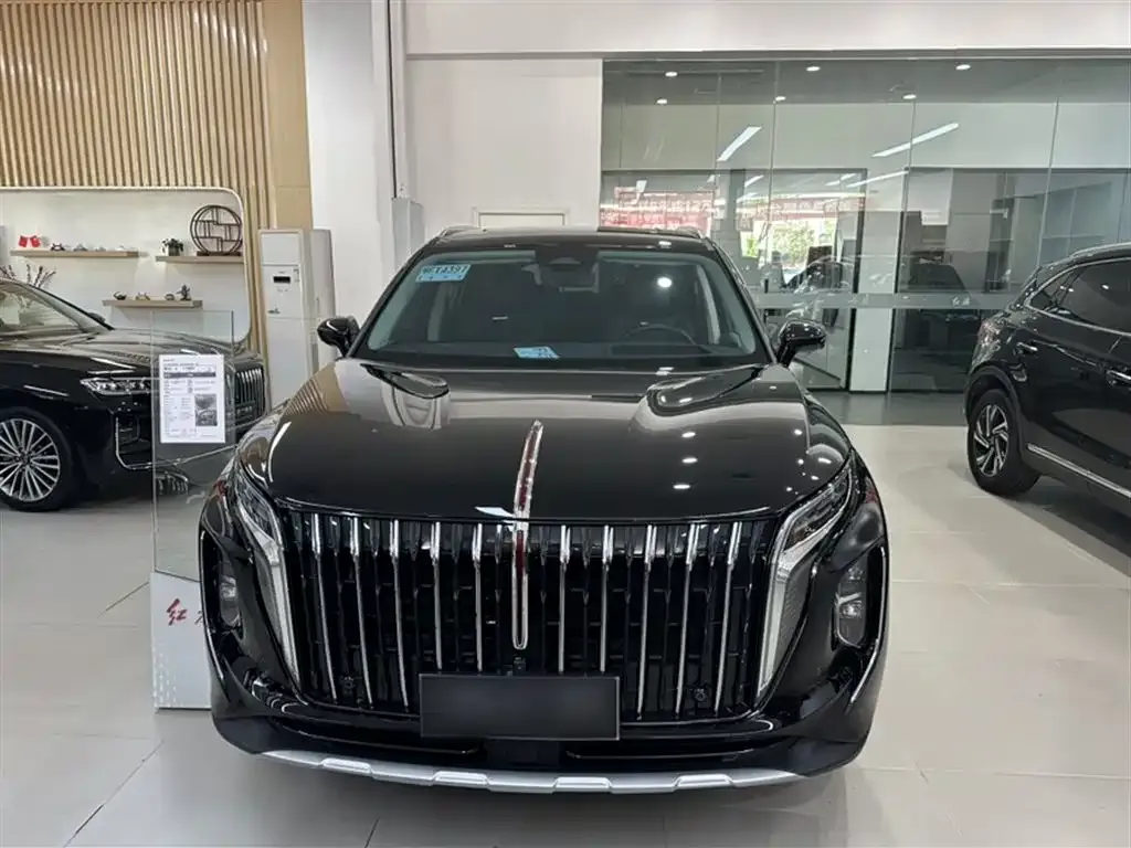 Hongqi HS7 2024 из CN, фото 9