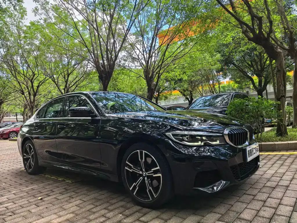 BMW 3 Series 2021 из CN, фото 3