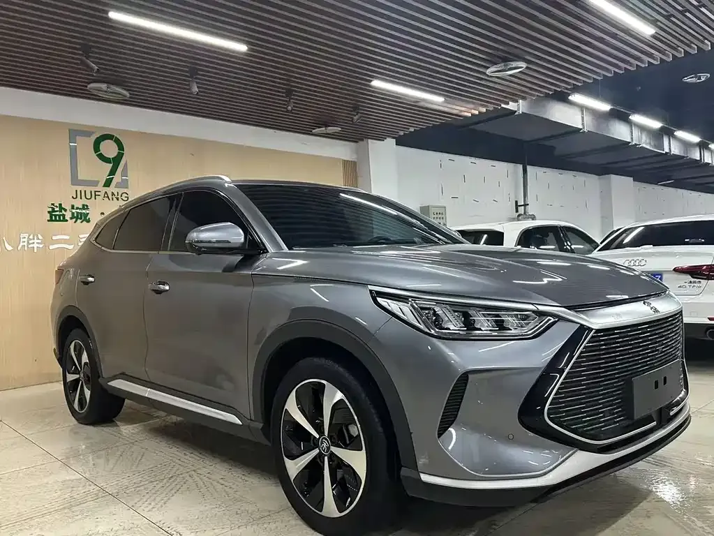 BYD PLUS New Energy 2023 из CN, фото 3